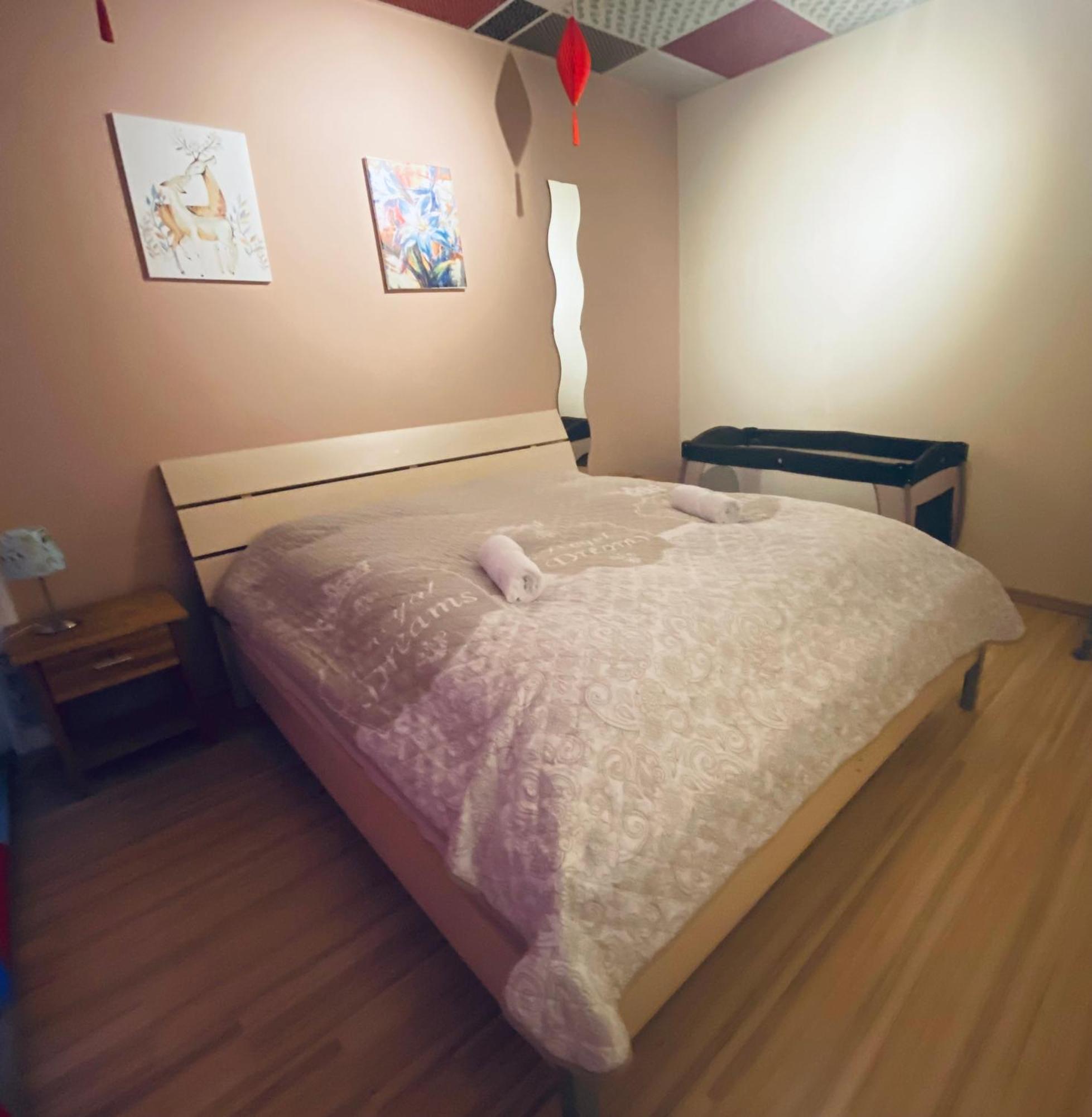 شقة Flat For Up To 4 People In Dresden-Striesen المظهر الخارجي الصورة
